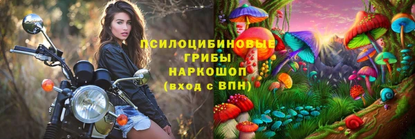 МДПВ Покров