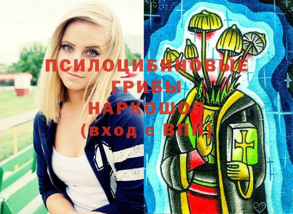стаф Покровск